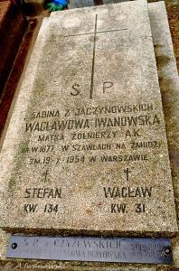 Grób Sabiny i Wacławy Iwanowskich, cm. Wolski